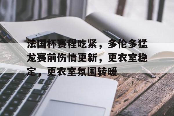 关于法国杯赛程吃紧，多伦多猛龙赛前伤情更新，更衣室稳定，更衣室氛围转暖的信息
